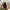 Patchwork Sotrina Hobo Bag photo 5