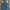 Diesel Industry Distressed Denim Pants photo 3