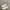 Adidas Casual Casual shoe Pria white photo 3