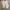 Adidas Casual Casual shoe Pria white photo 6
