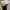 Adidas Casual Casual shoe Pria white photo 5