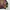 COOGI Sweater Autentic Multicolor photo 5