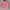 The North Face Sportswear Sweater Pria Pink