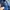 Nett Prada Saffiano Lux Leather Boston Bag Blue