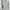 Umbro Streetwear Sportswear T-shirt Pria gray photo 2