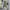 H&M Streetwear Suit Pria White