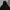 Dickies Y2K Gorpcore Track jacket Pria black photo 3
