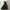 Dickies Y2K Gorpcore Track jacket Pria black photo 1