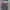 SHERPA CORDUROY GREEN WASH