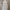 H&M Casual Bodycon dress Wanita blue photo 2