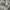 Nike Streetwear Casual Tracksuit Pria white red photo 3
