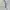 Nylon Baloon Pants Cargo Soled Ad Ankle photo 7