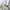 WILLFULLY JAPAN BRANDED LONG OVERALL SKIRT CORDUROY  photo 6