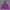 LLBEAN Purple Halfzip Outdoor Fishing Jacket