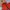 Adidas Sportswear Casual Kids navy red photo 2