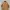 Niko And… Multipocket Duck Canvas Corduroy Collar Work Jack photo 3