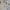 BabyGap Casual Formal Shirt Kids Cream