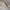 babyGap Casual Formal shirt Kids cream photo 3