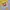 Minimalist Casual Kids white yellow photo 4