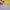 Minimalist Casual Kids white yellow photo 2