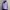 Casual Bomber Jacket Wanita Purple