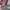 Disney Minimalist Casual Kids red gray photo 2