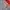 Disney Minimalist Casual Kids red gray photo 4