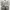 🔥Rare Item!!!Vintage Ellese Prendi La Tua Forza  photo 2