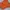 Bohopanna Casual Baju Bayi Kids Orange