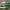 New Balance Fresh Foam X More Trail V3 Greend photo 4