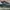 New Balance Fresh Foam X More Trail V3 Greend photo 3