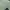 Polo Ralph Lauren Casual T-shirt Pria green photo 2