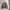 Reversible Military Bomber MA-1 photo 1
