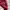 Prada puffer jacket rare colour photo 8