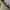 Prada tessuto re nylon khaki green photo 4