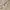 Vintage Y2K Fur coat Wanita cream photo 3