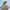Vintage Y2K Fur coat Wanita cream photo 4