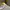 Raf Simons Luxury Casual Sweatshirt Pria white photo 3