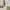 Y2K Casual Crop top Wanita white cream photo 3