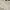 Y2K Casual Crop top Wanita white cream photo 4