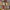 Spice island patch work flanel photo 3