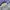 Japanese brand issey miyake improduct apron photo 6