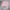 Vintage Reworked Crop top Wanita white pink brown blue photo 5