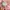 TAKA Craft Vintage Streetwear Pria white pink photo 2
