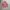 leather pink jacket   photo 3