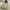 Renoma Thermolite Outdoor Vest Jacket photo 7