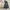 Renoma Thermolite Outdoor Vest Jacket photo 3