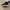 air jordan 11 space jam photo 4