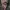 Yves Saint Laurent YSL Sportswear Bomber jacket Pria multicolor photo 2