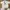 Anime Bootleg Chainsaw Man photo 2